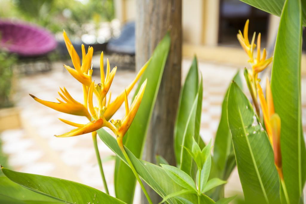 Champa Lodge Kampot Kültér fotó
