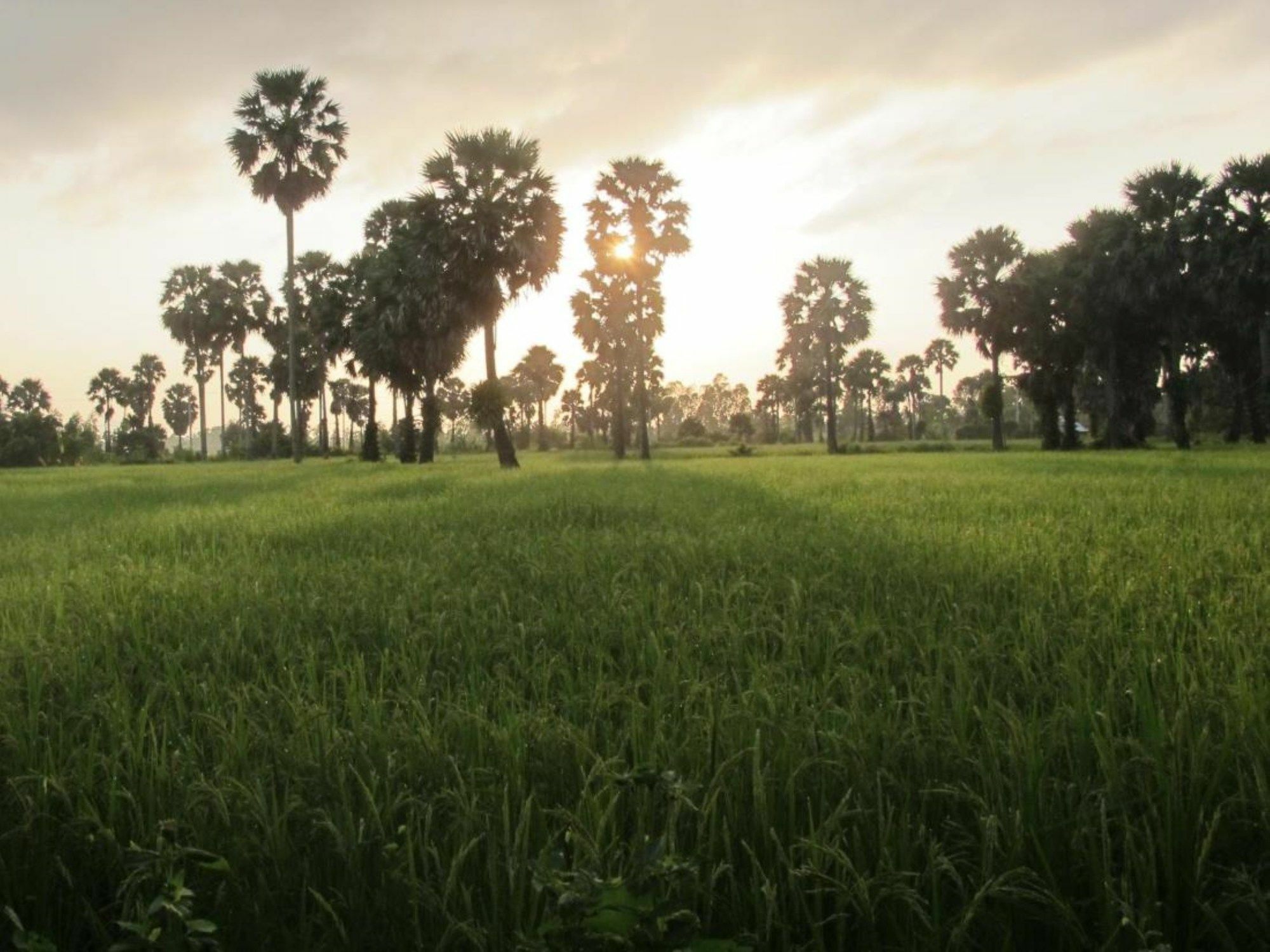 Champa Lodge Kampot Kültér fotó